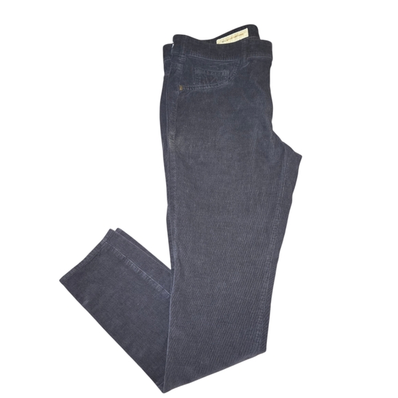 Pilcro and the Letterpress Serif Charcoal Gray Stretch Skinny Fit Cords Size 30 - Picture 3 of 14